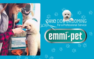 Emmi Pet Toothbrush Seminar