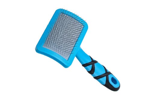 dog grooming stockport brush